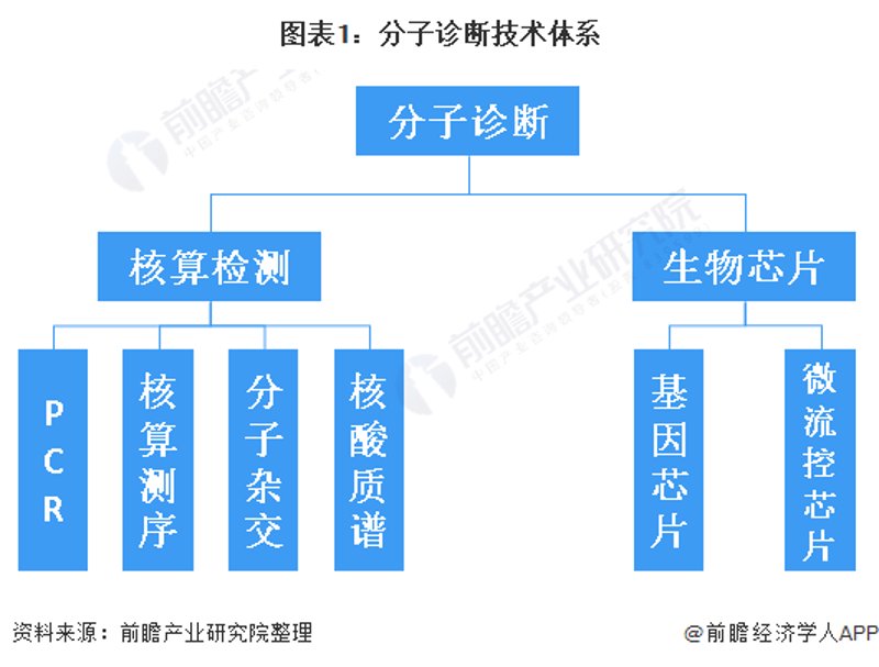 细胞治疗技术:推动生命科学新篇章