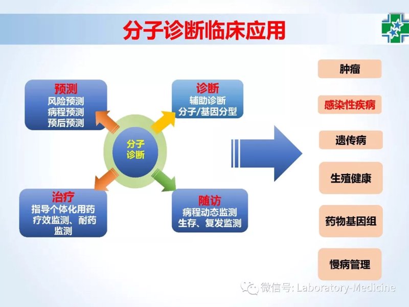 分子诊断
